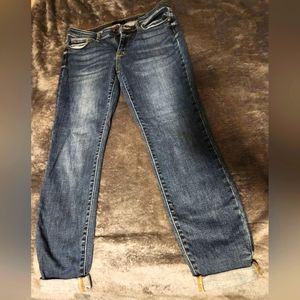 Judy Blue Skinny Jeans